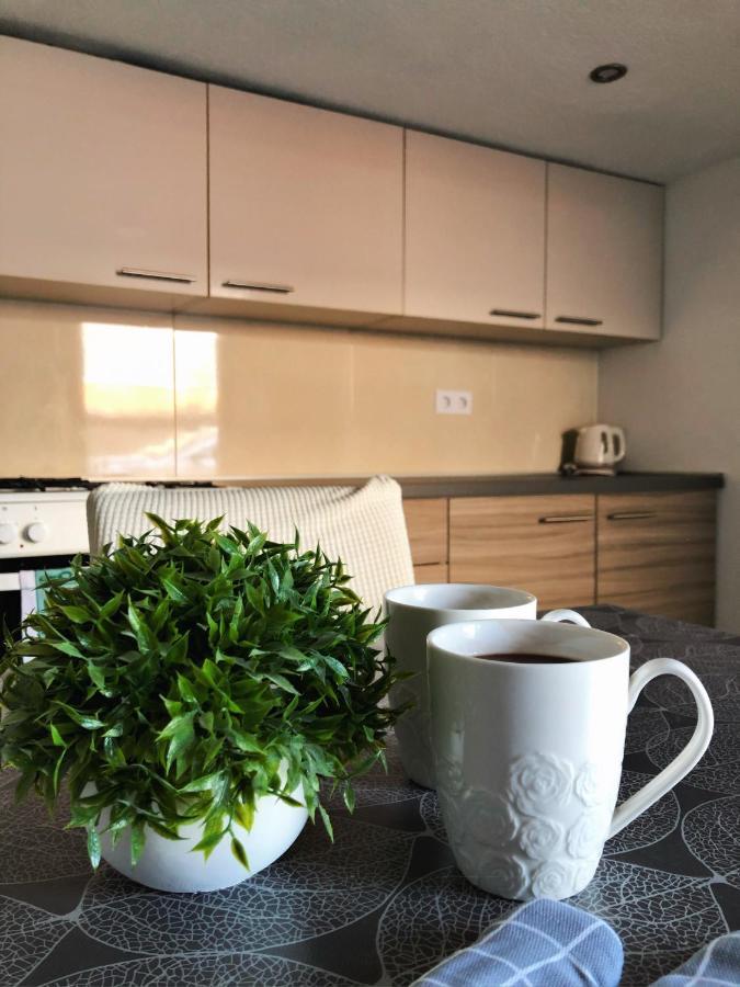 卡尔洛瓦茨 Sobe Darko Cindric酒店 外观 照片